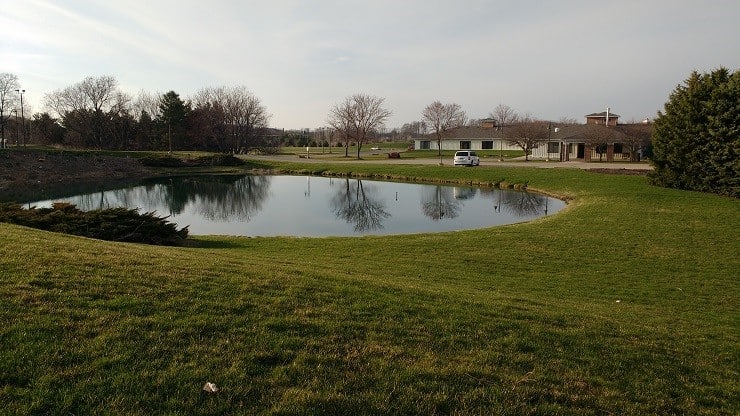 a man drove his car into this pond nine years ago and it was hidden in plain sight ever since