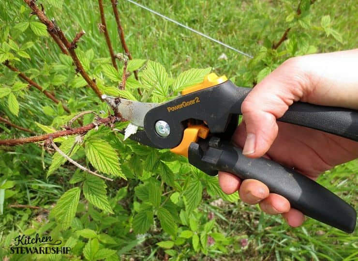 Fiskars PowerGear2 Shears to Weed the Garden