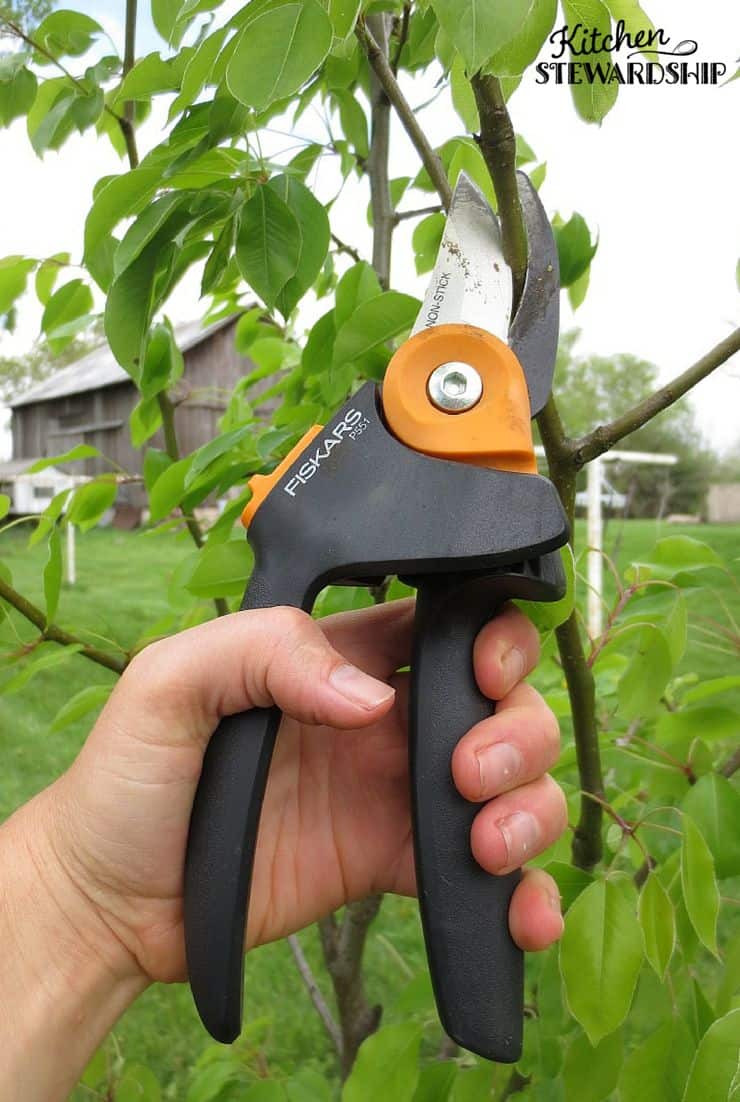 Fiskars Shears Help Get Your Gardening Done