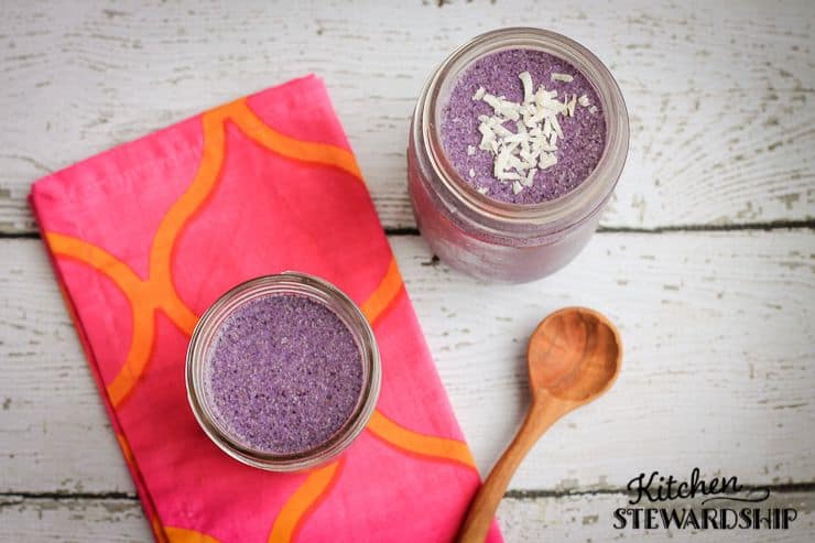 Homemade No-Cook Chocolate Chia Pudding Recipe (Dairy-Free!)