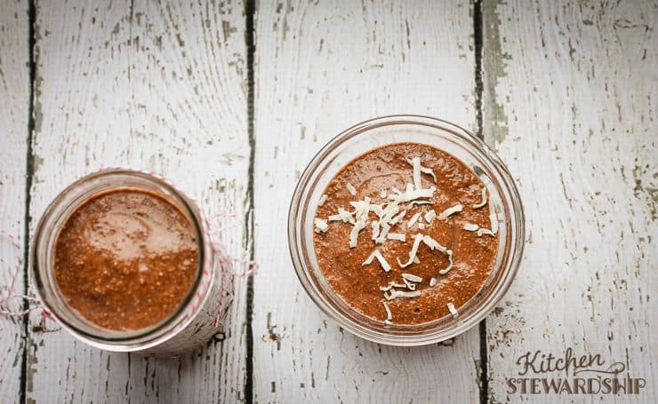Homemade No-Cook Chocolate Chia Pudding Recipe (Dairy-Free!)