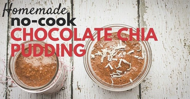 Homemade No-Cook Chocolate Chia Pudding Recipe (Dairy-Free!)