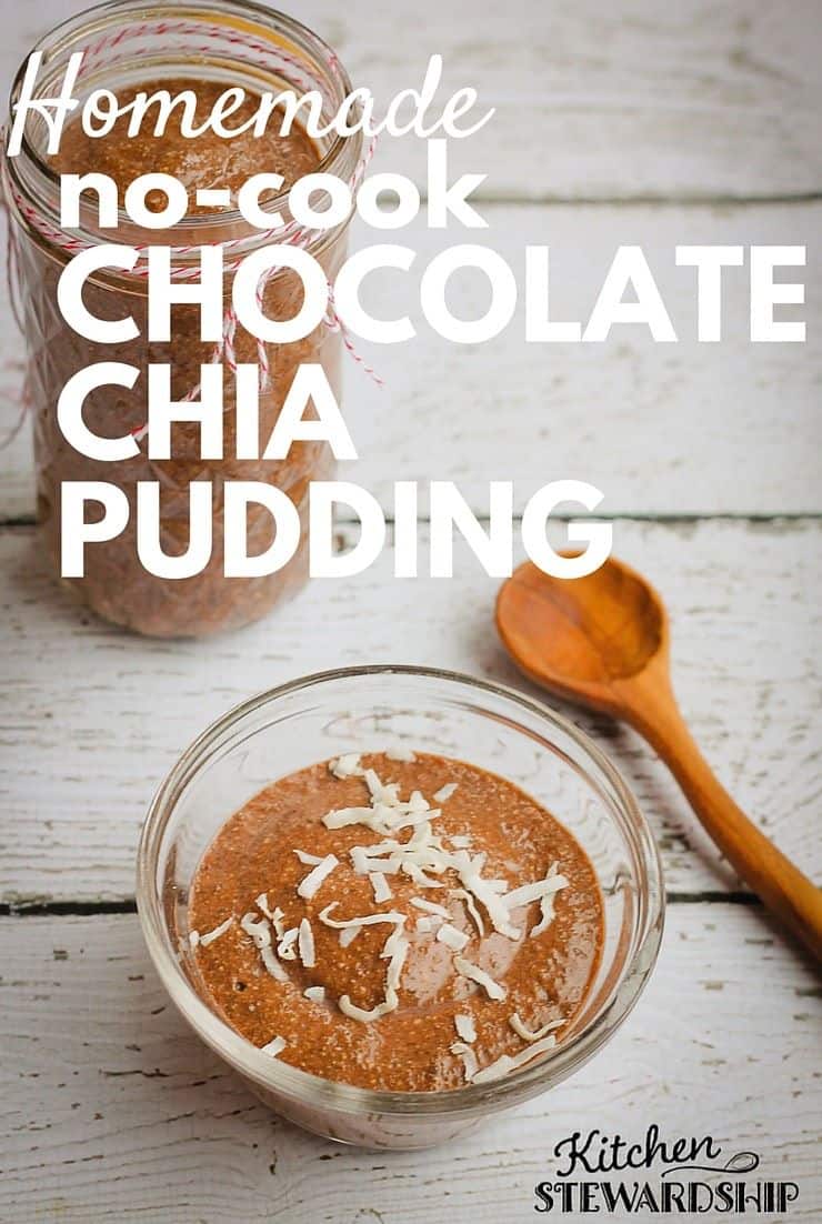 Homemade No-Cook Chocolate Chia Pudding Recipe (Dairy-Free!)