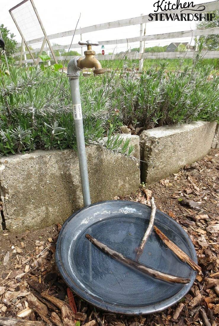 Save the Bees by Offering Water