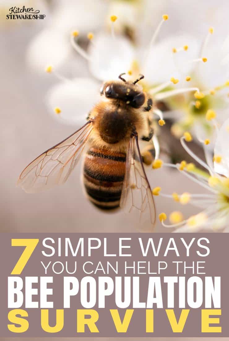 Easy steps to take to preserve the future of food...but you gotta know them to do them! Please read!