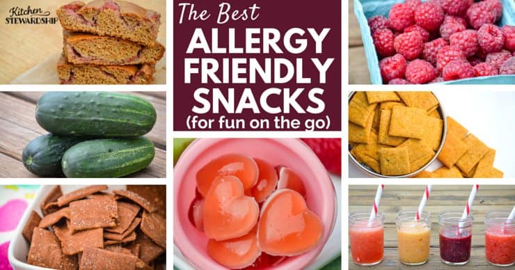 Stay safe and enjoy summer outings with the best allergy friendly snacks around. No processed foods, gums or artificial ingredients. Just real food that is safe for everyone.