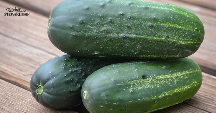 The Best Allergy Friendly Snacks For Your Road Trips And Summer Fun