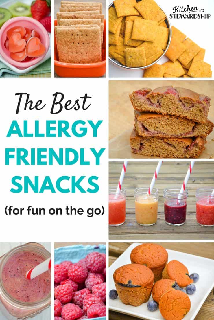 The Best Allergy Friendly Snacks For Your Road Trips And Summer Fun