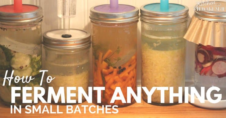 How to Ferment Anything in Small Batches