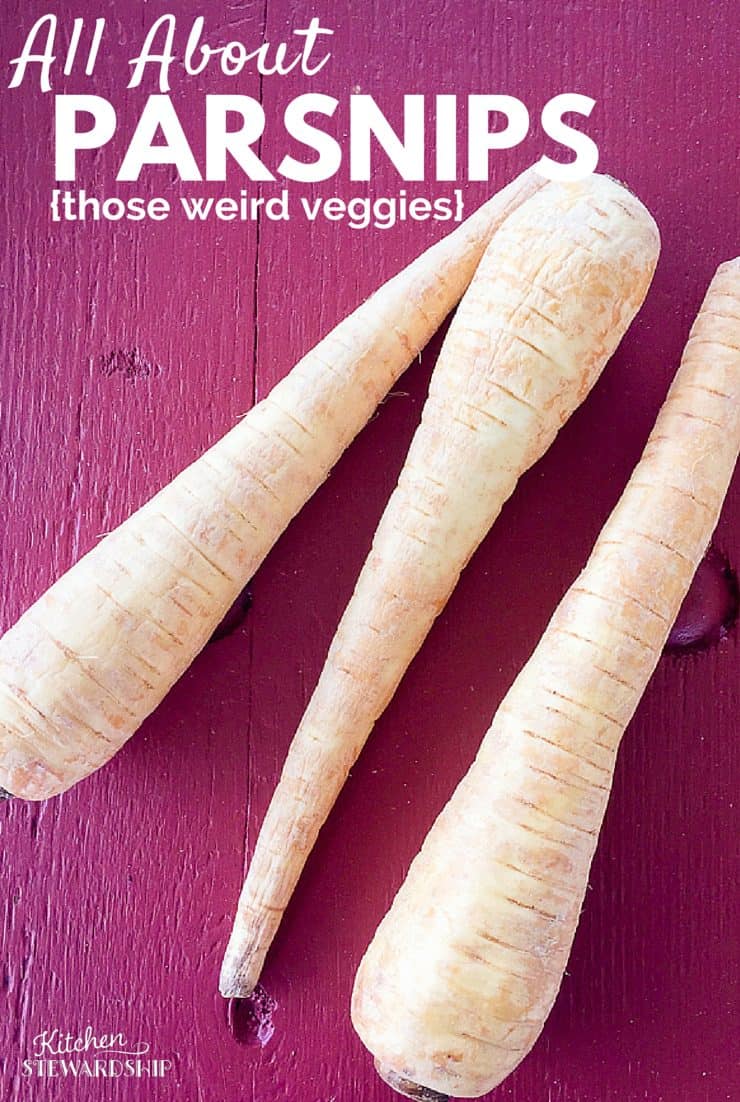 Learn to use parsnips which are not carrots theyre actually better as a sub for potatoes if you know how to do it