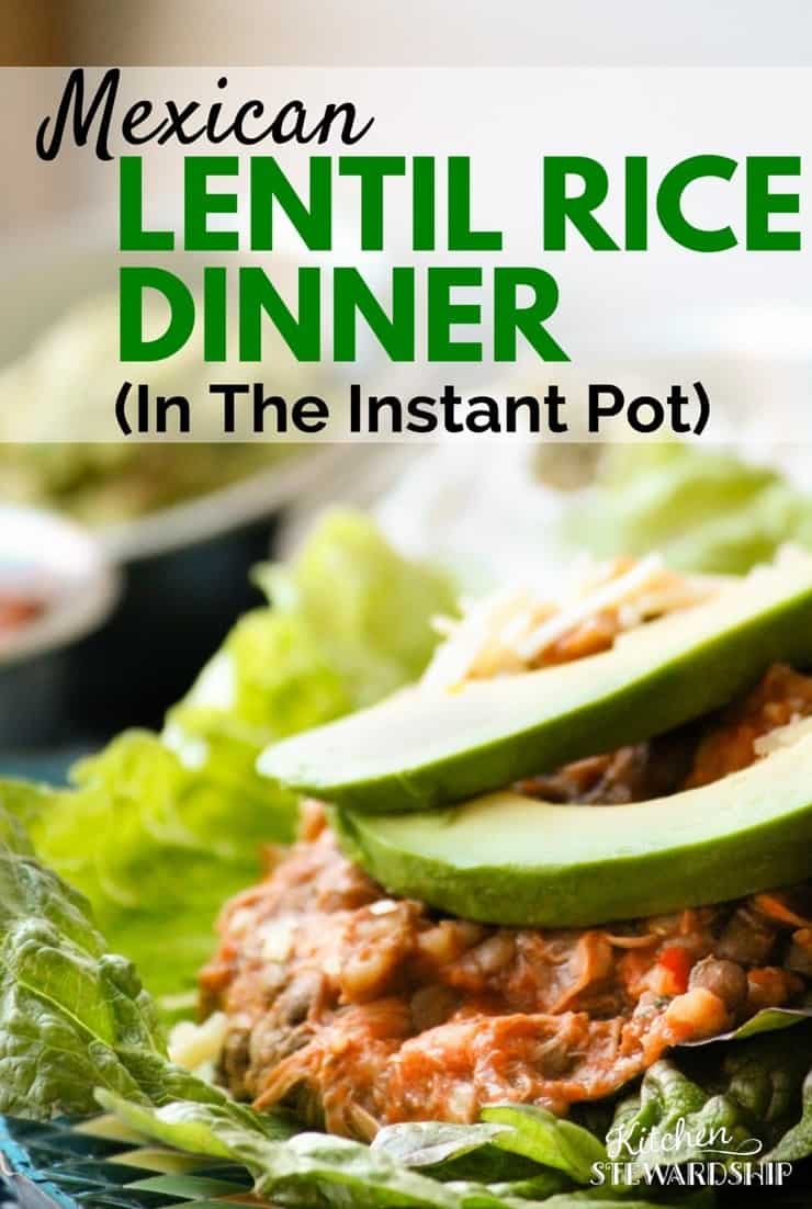 Mexican Chicken Lentil Rice Dinner in the Instant Pot