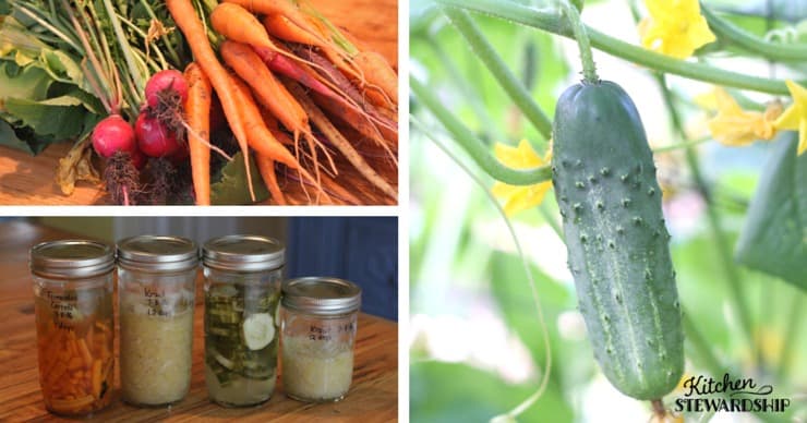 Quick And Easy Small Batch Fermenting