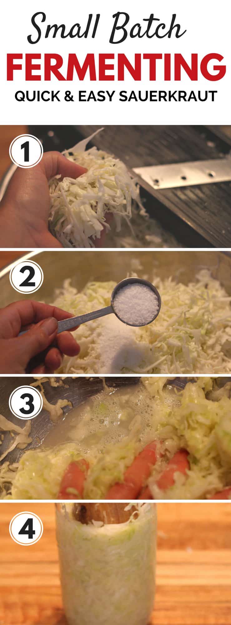 Quick And Easy Small Batch Fermenting longie