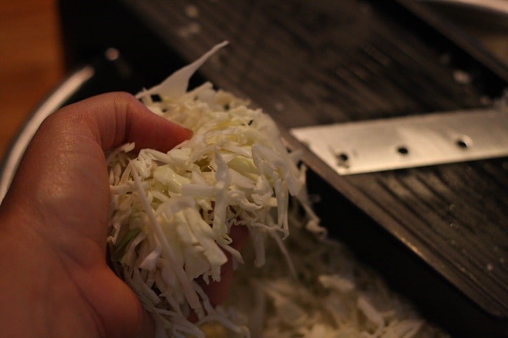 Shredded Cabbage ready to make homemade sauerkraut healthy fermented vegetables