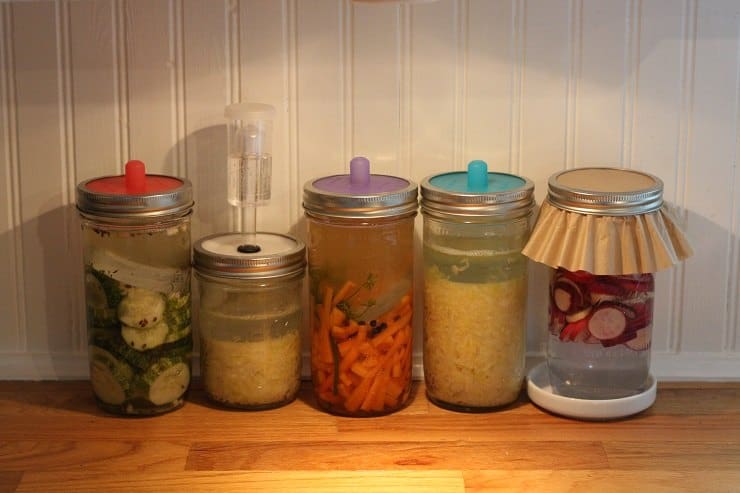 Small Batch Ferments Sitting on the Counter to Wait