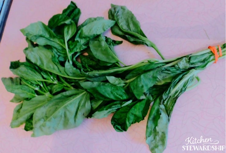 Basil ready to preserve and how to avoid wasting your CSA box veggies