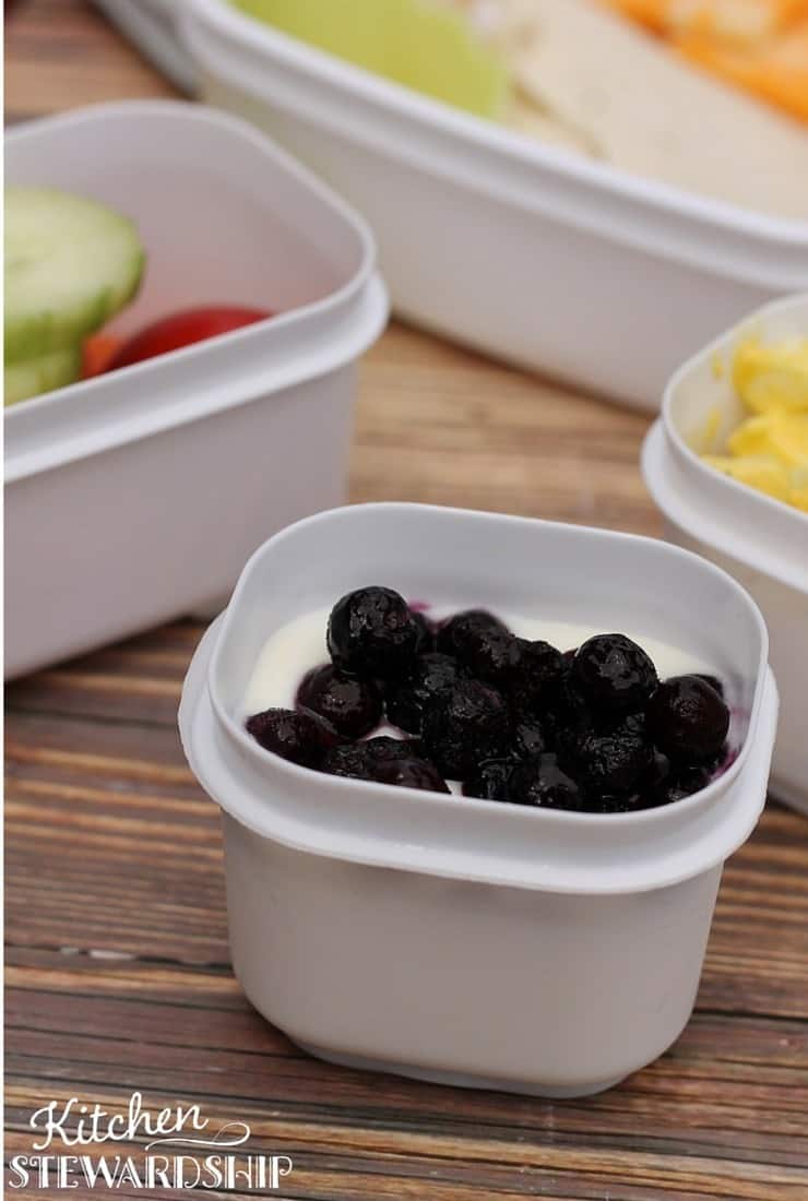 Homemade Yogurt in a Rubbermaid Lunch Container