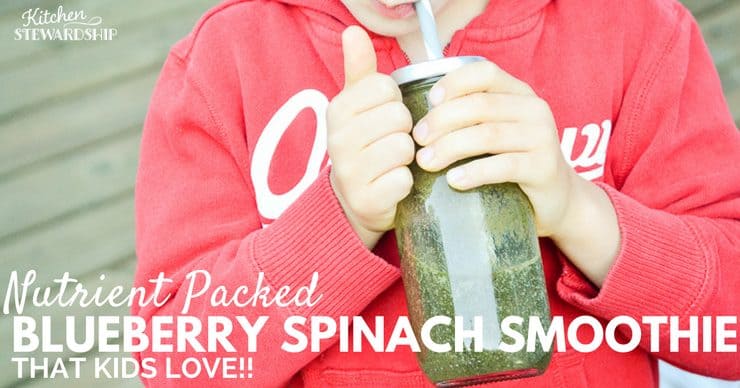 Nutrient Dense Blueberry Spinach Smoothie