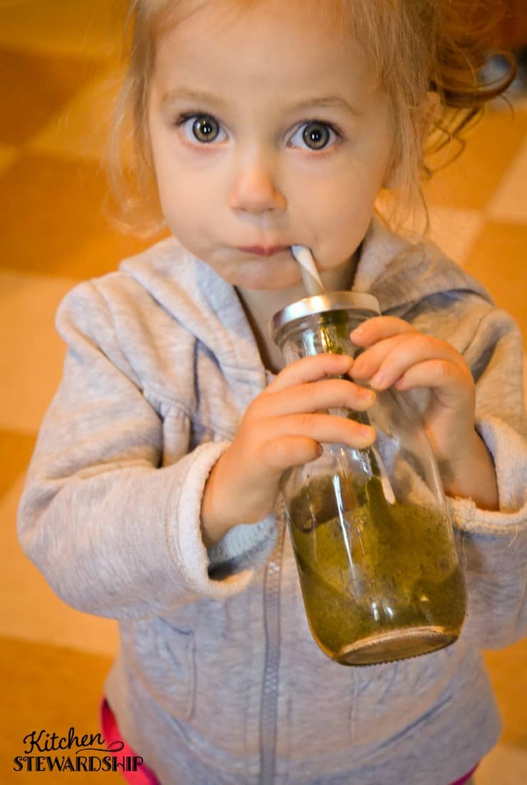 Nutrient Dense Blueberry Spinach Smoothie