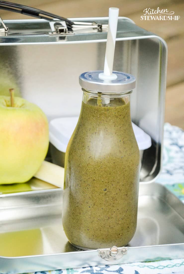 Nutrient Dense Blueberry Spinach Smoothie