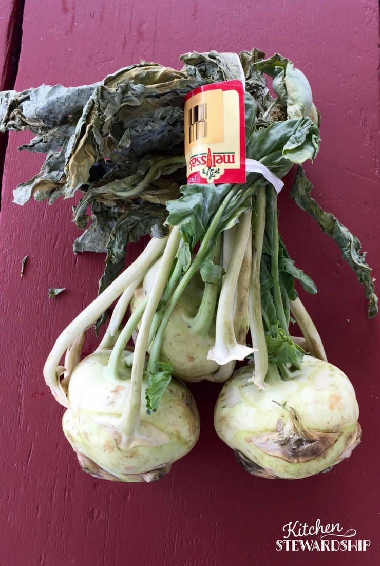 Those Weird Veggies Series All About Kohlrabi