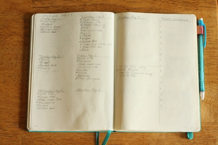 my bullet journal daily log - the most important part