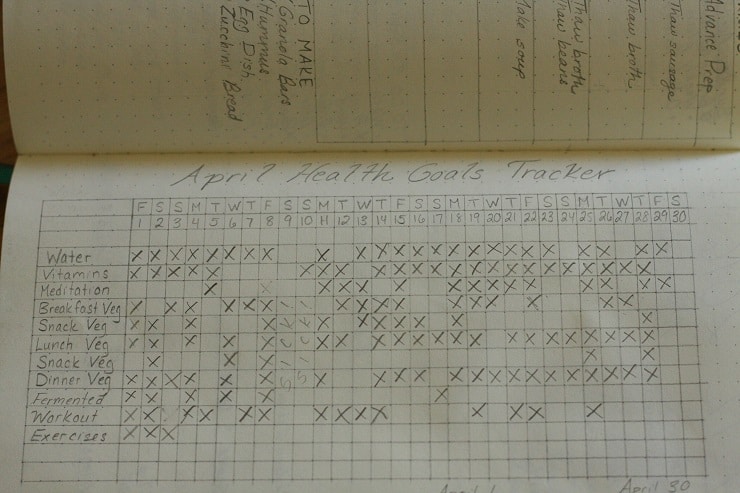 bullet journal health goals tracker