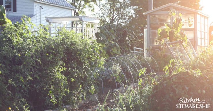 Tips to make a beautiful garden easily