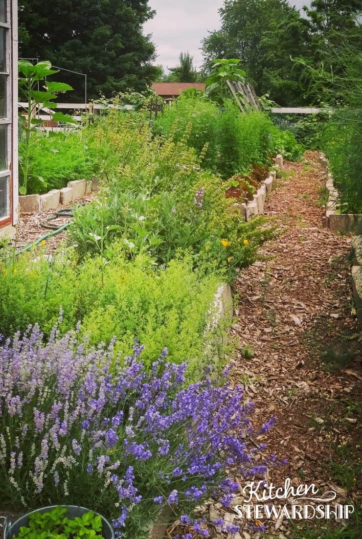 Make Effortless Gardening A Reality