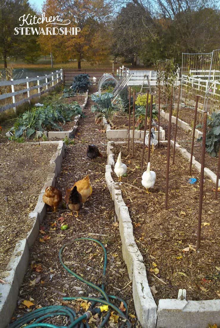 Make Effortless Gardening A Reality