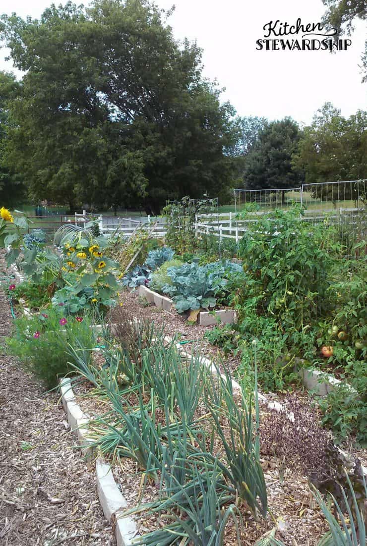 Make Effortless Gardening A Reality