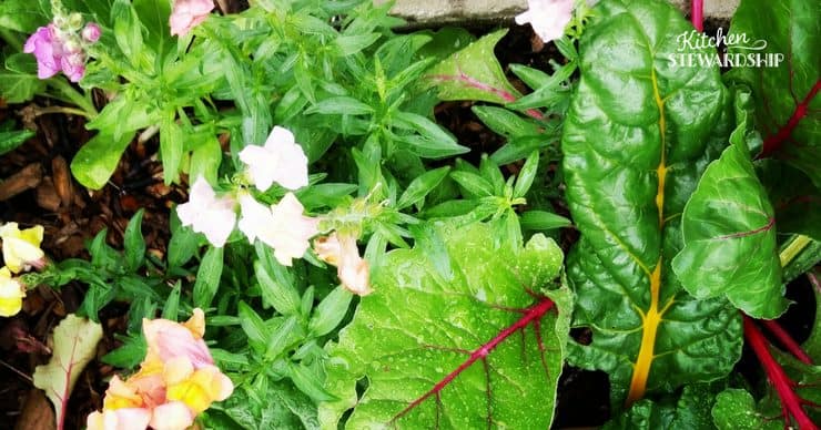 Make Effortless Gardening A Reality