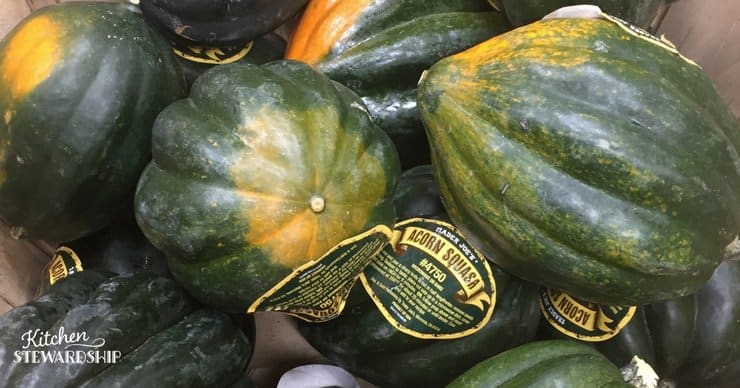 Acorn Squash - winter squash roundup with recipes and tips