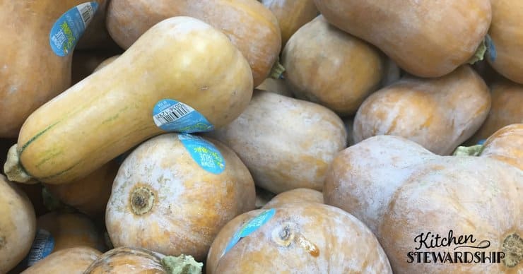 Butternut Squash - winter squash round up with recipes and tips