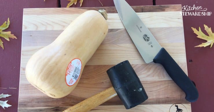 Weird Veggies Squash