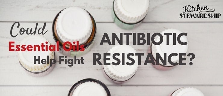 Could Essential Oils help in the fight against antibiotic resistance