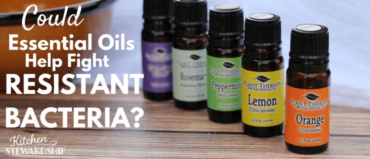 Could Essential Oils help in the fight against antibiotic resistance