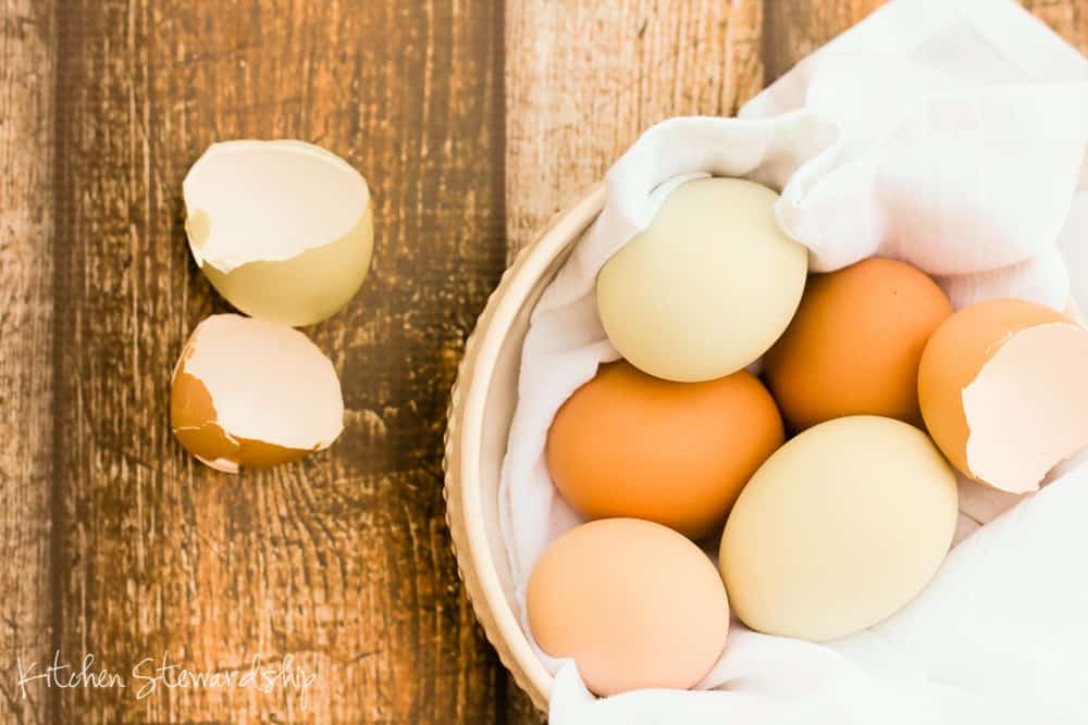 Food for Thought: Fat and Your Body