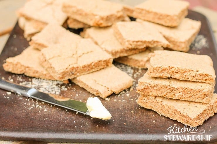 Gluten free Egg free flatbread no flour needed