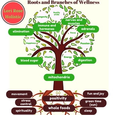 Roots and branches of Wellness