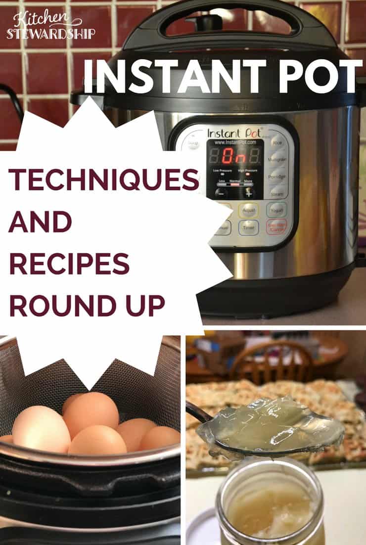 Instant Pot Techniques And Recipes Round Up