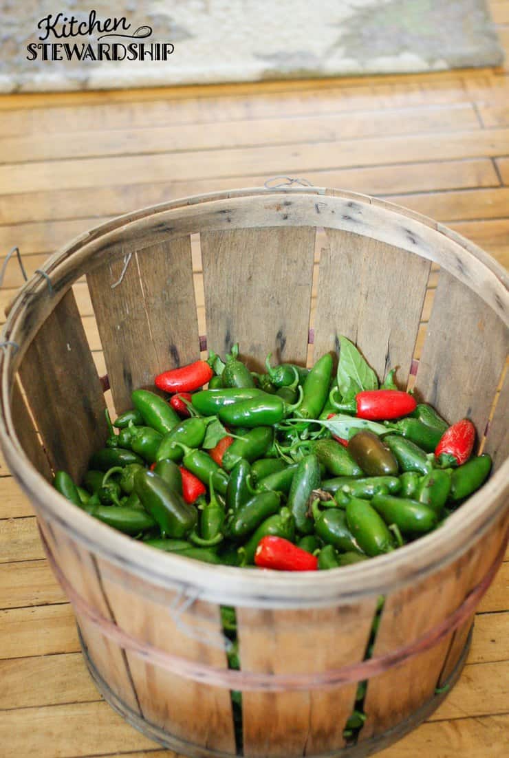 Quick Easy Jalapeno poppers