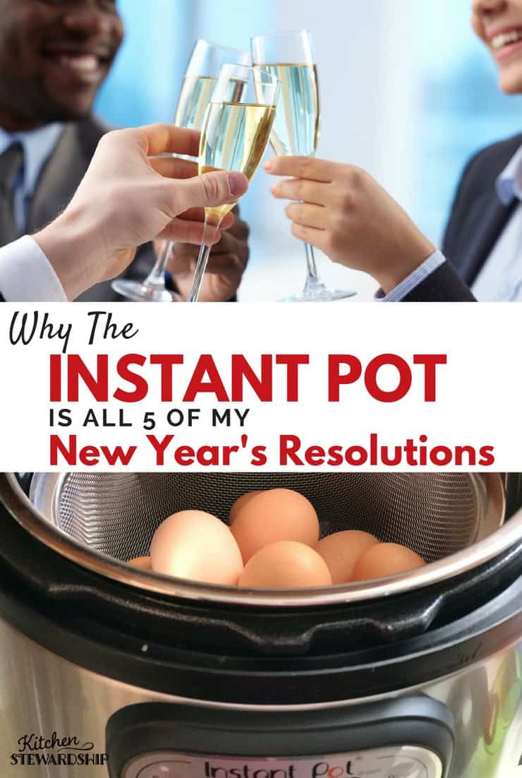 Why The Instant Pot Is All 5 Of My New Years Resolutions