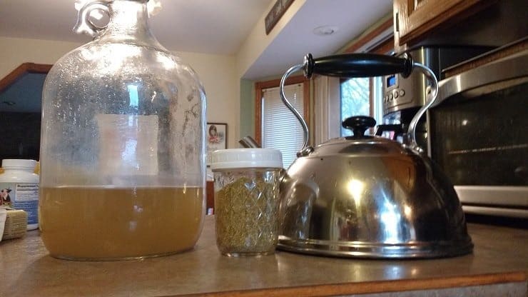 CCF tea in bulk for gut healing and digestive support