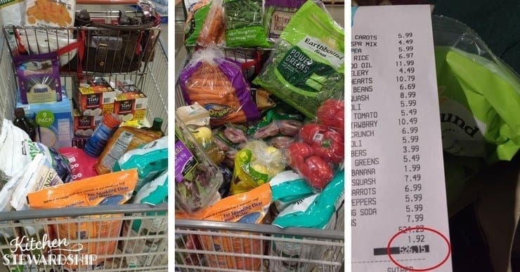 Coscto shopping for vegetables frozen berries organic meat it gets expensive