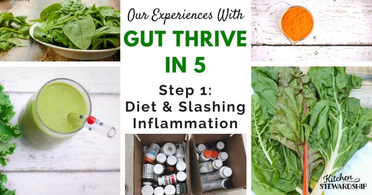 Our experiences with Gut Thrive in 5. Step 1: diet and slashing inflammation