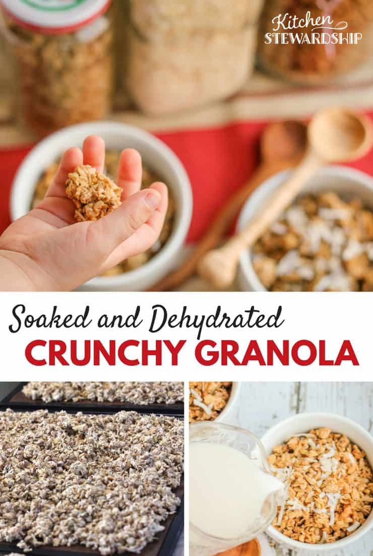 soaked and dehydrated crunchy granola, homemade granola bars