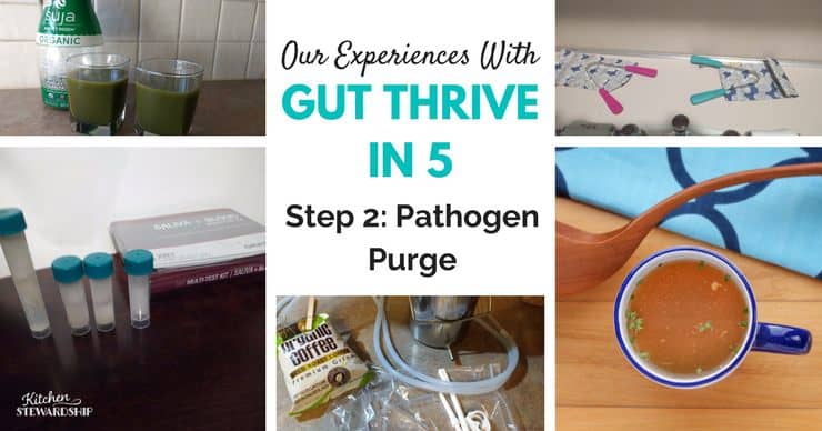 Pathogen purge step 2 of Gut Thrive in 5