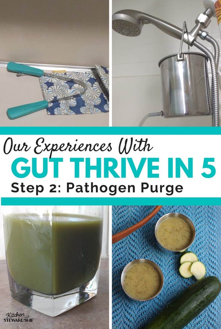 Gut Thrive in 5: Pathogen Purge
