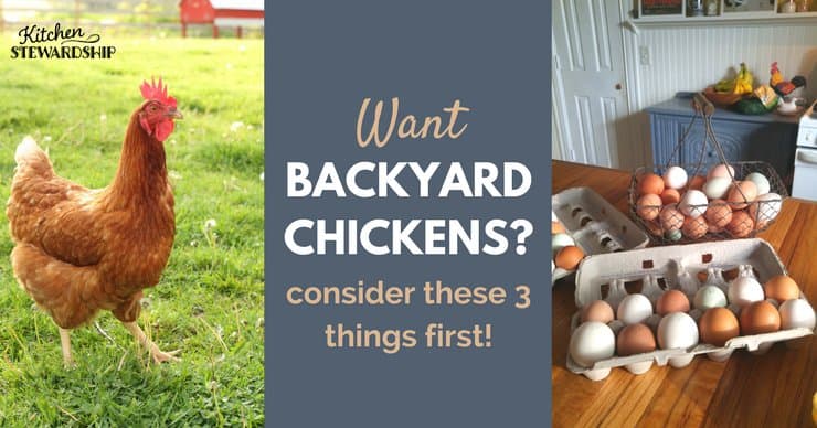 Raising chickens at home. What you need to know before getting started. From a farmer who loves her chickens.
